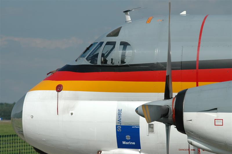 DSC_0345.JPG - 50 years anniversary badge